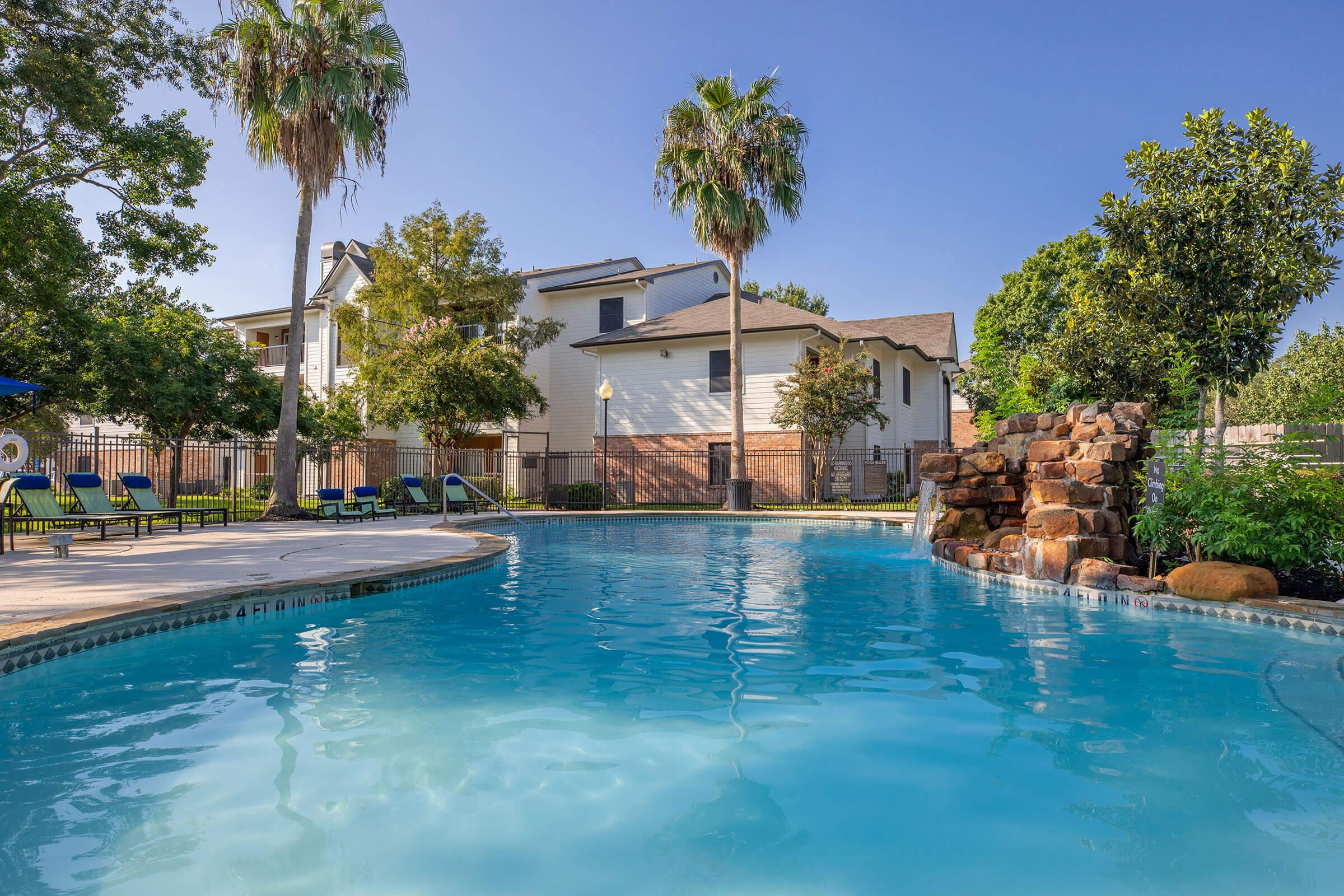 a pool with palm trees